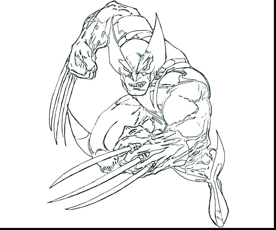 921x767 Wolverine Coloring Pages