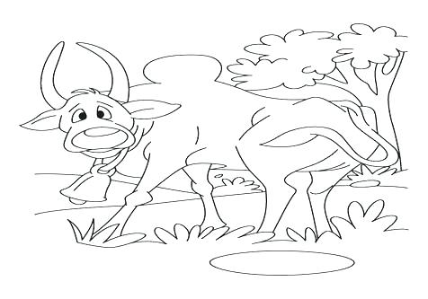 476x333 Wombat Coloring Page Coloring Trend Medium Size Common Wombat