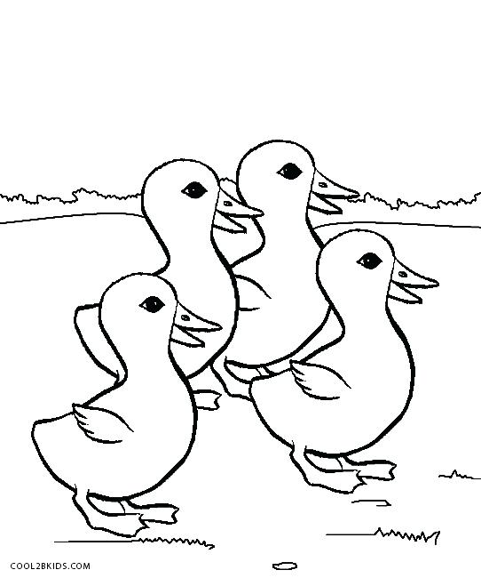 Ducks Coloring Pages Wood Duck Duckling Coloring Page Oregon Ducks 542x650 Ducks Coloring Pages Wood Duck Duckling Coloring Page Oregon Ducks