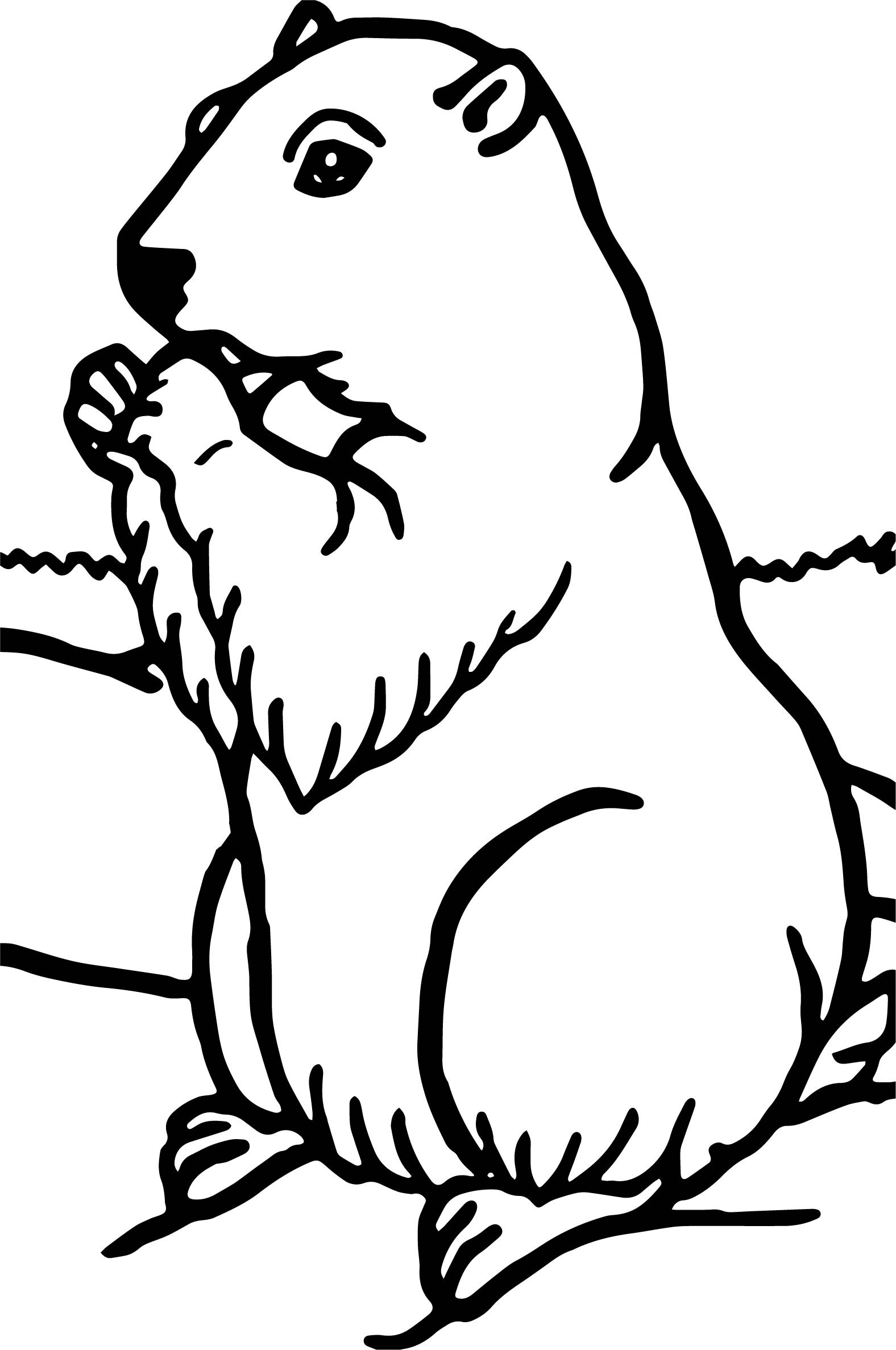 1576x2375 Groundhog Coloring Page 14