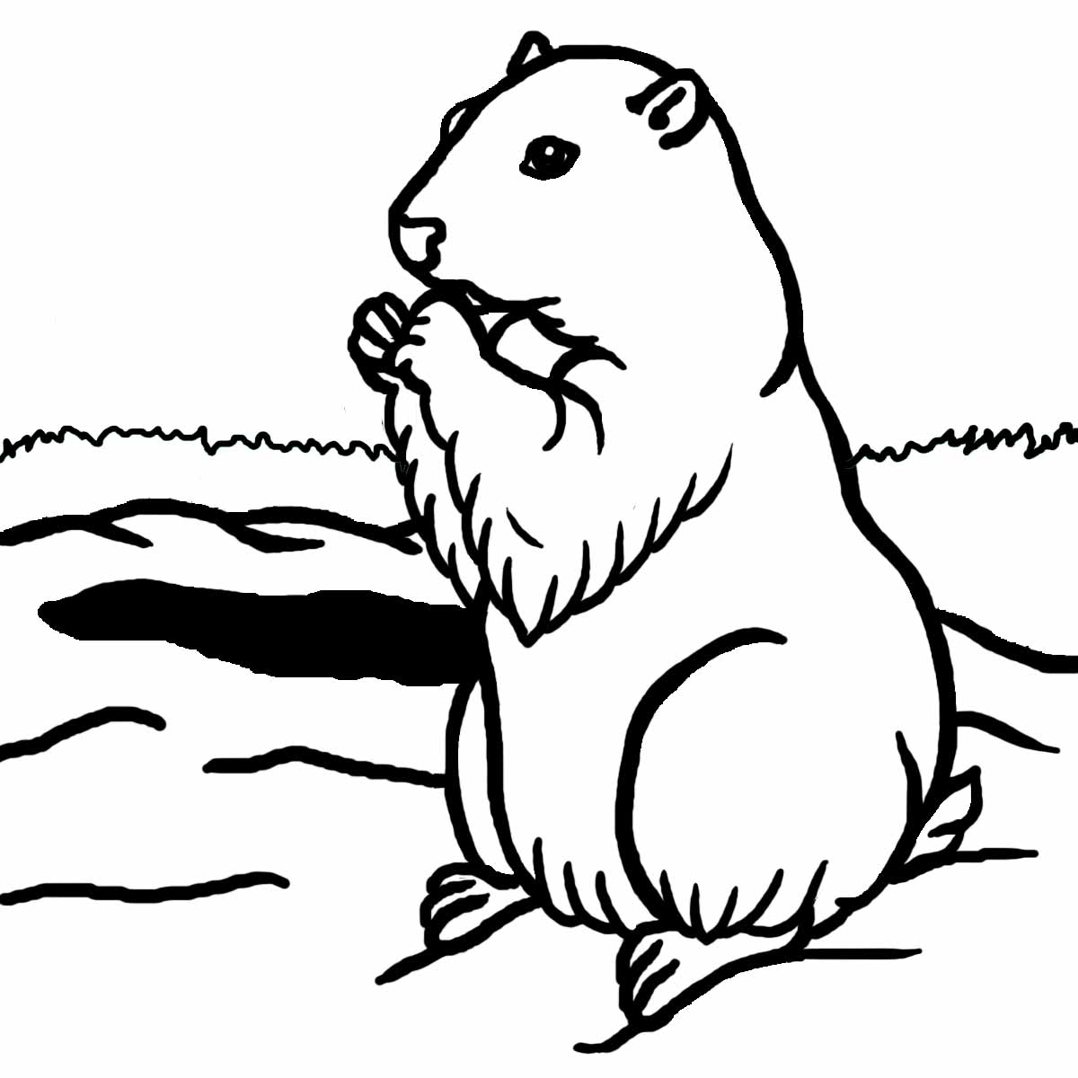 1200x1200 Woodchuck 20clipart Clipart Panda