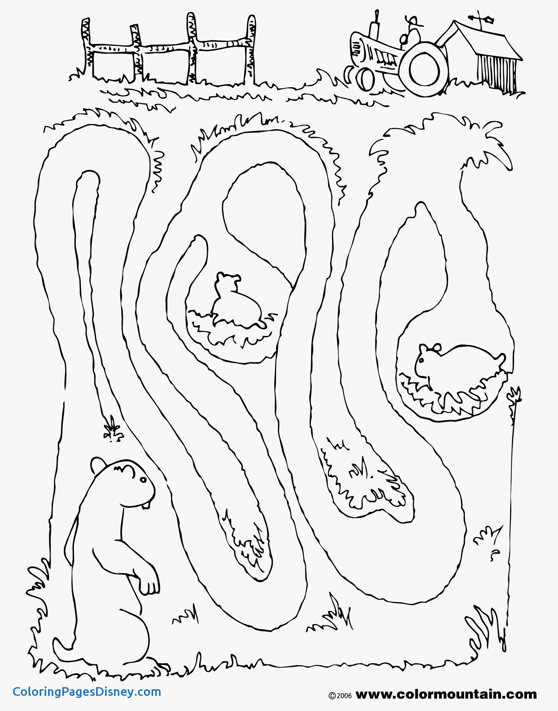 1800x2294 Woodchucks Coloring Pages Unique Free Squirrel Coloring Pages
