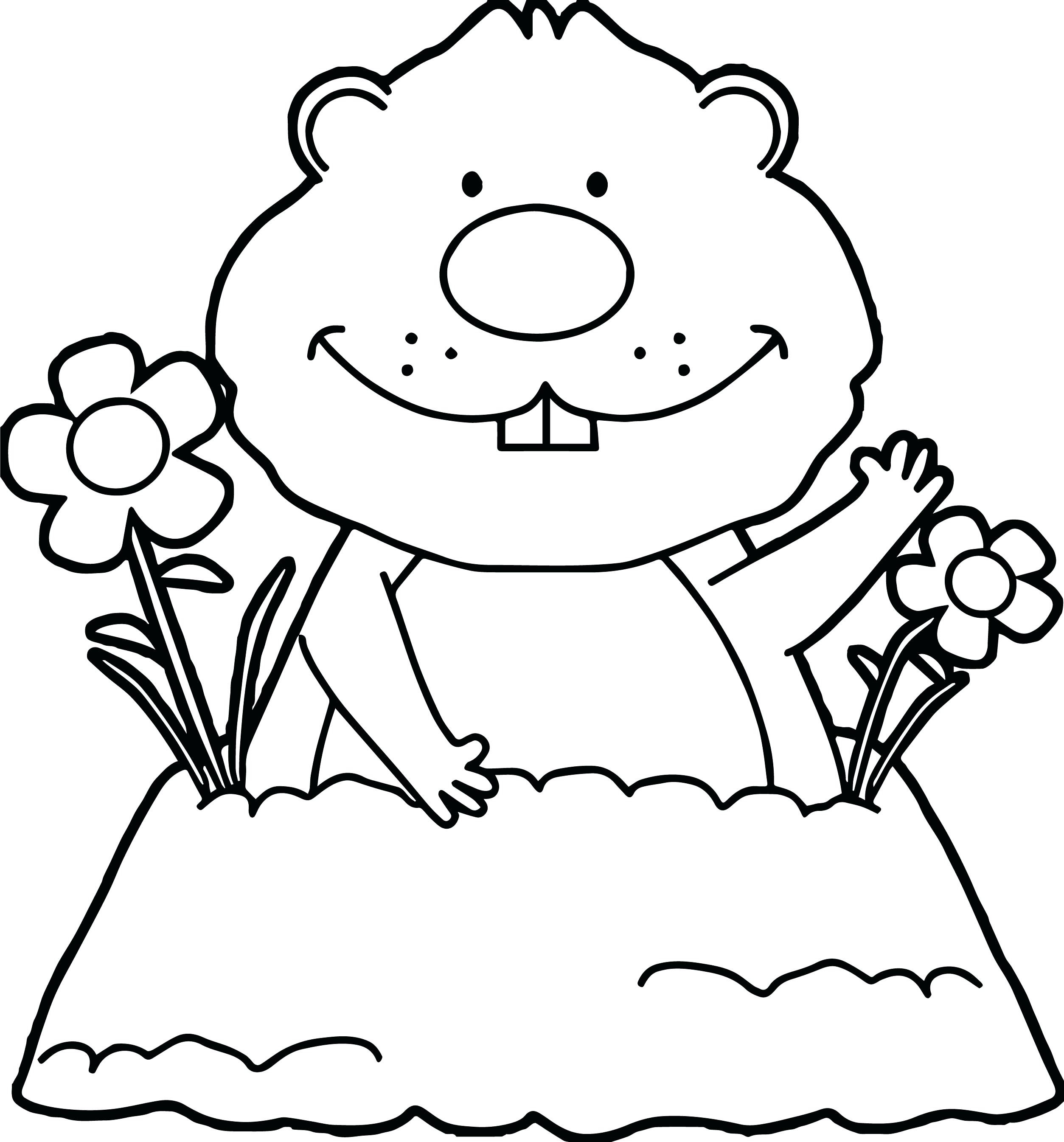 2507x2690 Coloring Pages Of Groundhog Day New Page Peeking For 6
