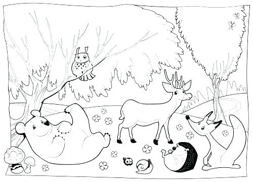 Forest Coloring Pages Woodland Animals Coloring Pages Forest 500x360 Forest Coloring Pages Woodland Animals Coloring Pages Forest