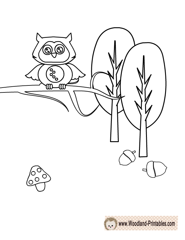 Free Printable Woodland Animals Coloring Pages 612x792 Free Printable Woodland Animals Coloring Pages