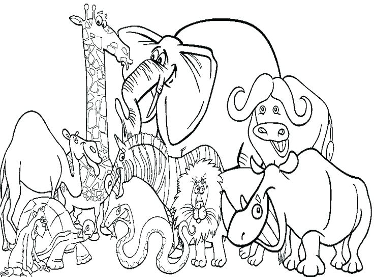 Woodland Animals Coloring Pages Badger Animal Coloring Pages 736x544 Woodland Animals Coloring Pages Badger Animal Coloring Pages