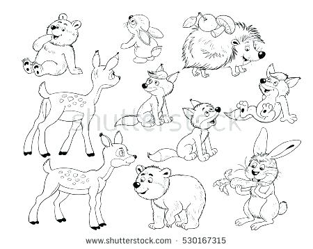 Woodland Animals Coloring Pages Cute Woodland Animals Small Set 450x358 Woodland Animals Coloring Pages Cute Woodland Animals Small Set