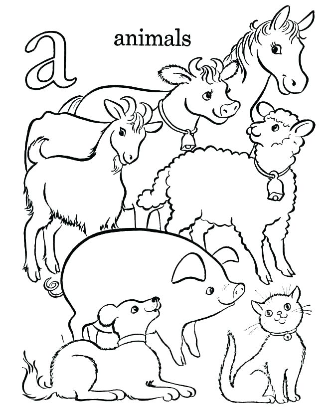 Animal Coloring Pages For Adults Together With Wildlife Coloring 670x820 Animal Coloring Pages For Adults Together With Wildlife Coloring