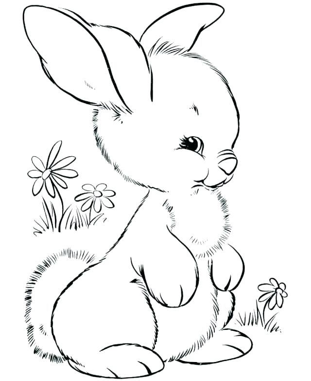 Woodland Animal Coloring Pages 640x783 Woodland Animal Coloring Pages