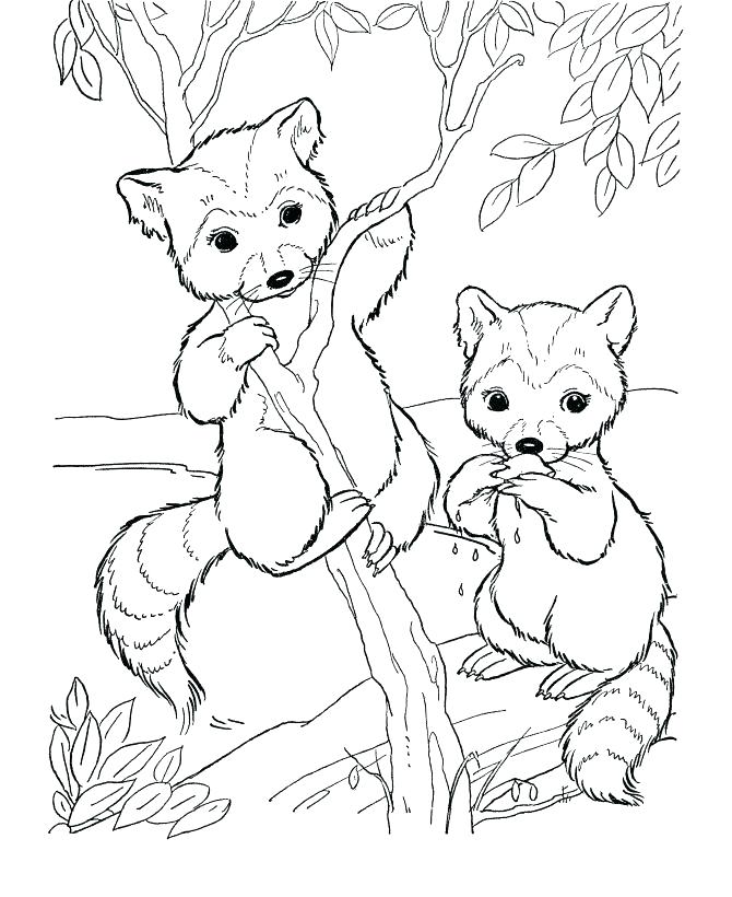 Forest Animal Coloring Pages Woodland Animals Coloring Pages 670x820 Forest Animal Coloring Pages Woodland Animals Coloring Pages