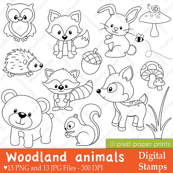 570x570 Woodland Animals Digital Stamps Clipart