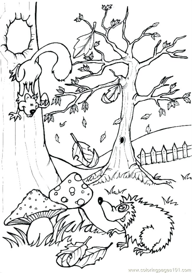 650x925 Woodland Coloring Pages