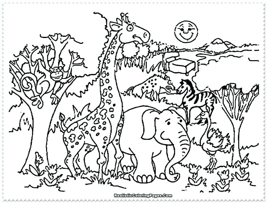 Little Critter Coloring Pages Coloring Pages Zoo Coloring Pages 5 863x656 Little Critter Coloring Pages Coloring Pages Zoo Coloring Pages 5