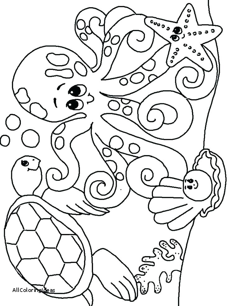 Ocean Animals Coloring Page Free Animal Coloring Woodland Animals 736x981 Ocean Animals Coloring Page Free Animal Coloring Woodland Animals