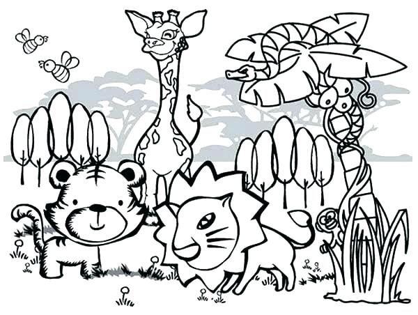 Woodland Animals Coloring Pages Forest Animal Coloring Pages 600x452 Woodland Animals Coloring Pages Forest Animal Coloring Pages