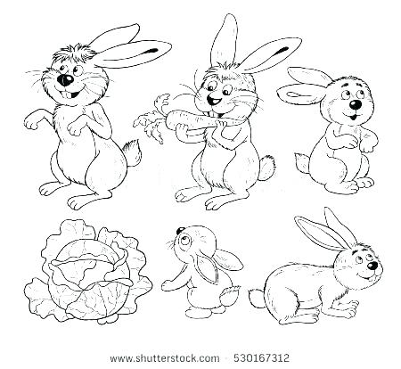 Woodland Animals Coloring Pages Forest Animals Coloring Page 450x414 Woodland Animals Coloring Pages Forest Animals Coloring Page