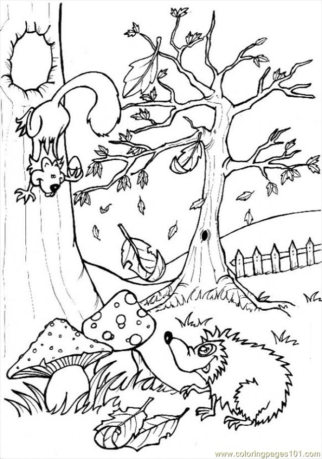 Woodland Animals Coloring Pages Az Coloring Pages Coloring Pages 650x925 Woodland Animals Coloring Pages Az Coloring Pages Coloring Pages