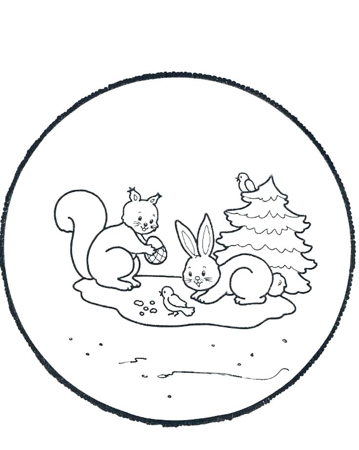 Animals In Winter Coloring Pages Woodland Animals Coloring Pages 736x922 Animals In Winter Coloring Pages Woodland Animals Coloring Pages