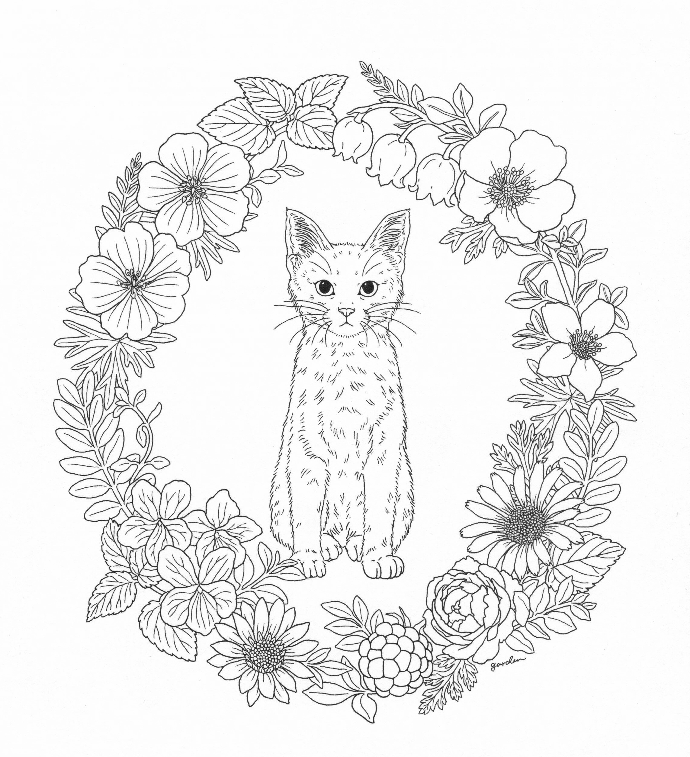Elegant Image Result For Woodland Creature Coloring Pages Free 2285x2506 Elegant Image Result For Woodland Creature Coloring Pages Free