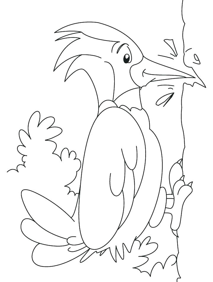 Woodpecker Coloring Page Hairy Woodpecker Coloring Page Red 720x954 Woodpecker Coloring Page Hairy Woodpecker Coloring Page Red
