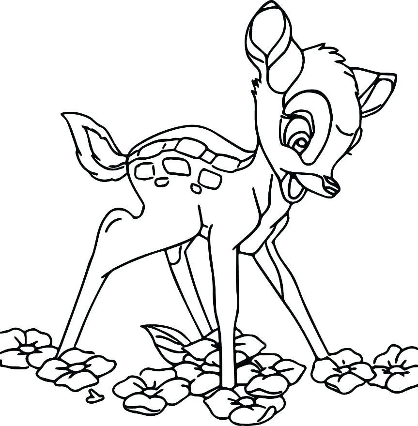 Woodpecker Coloring Page Ivory Billed Woodpecker Coloring Pages 863x880 Woodpecker Coloring Page Ivory Billed Woodpecker Coloring Pages