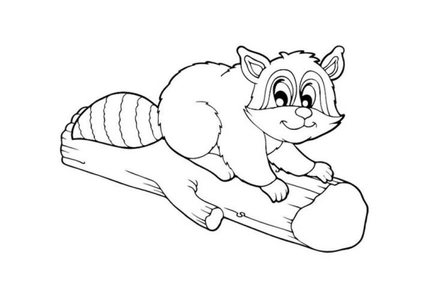 Raccoon On Piece Of Wood Coloring Page 600x423 Raccoon On Piece Of Wood Coloring Page