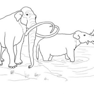 Free Mammoth Coloring Pages 308x308 Free Mammoth Coloring Pages