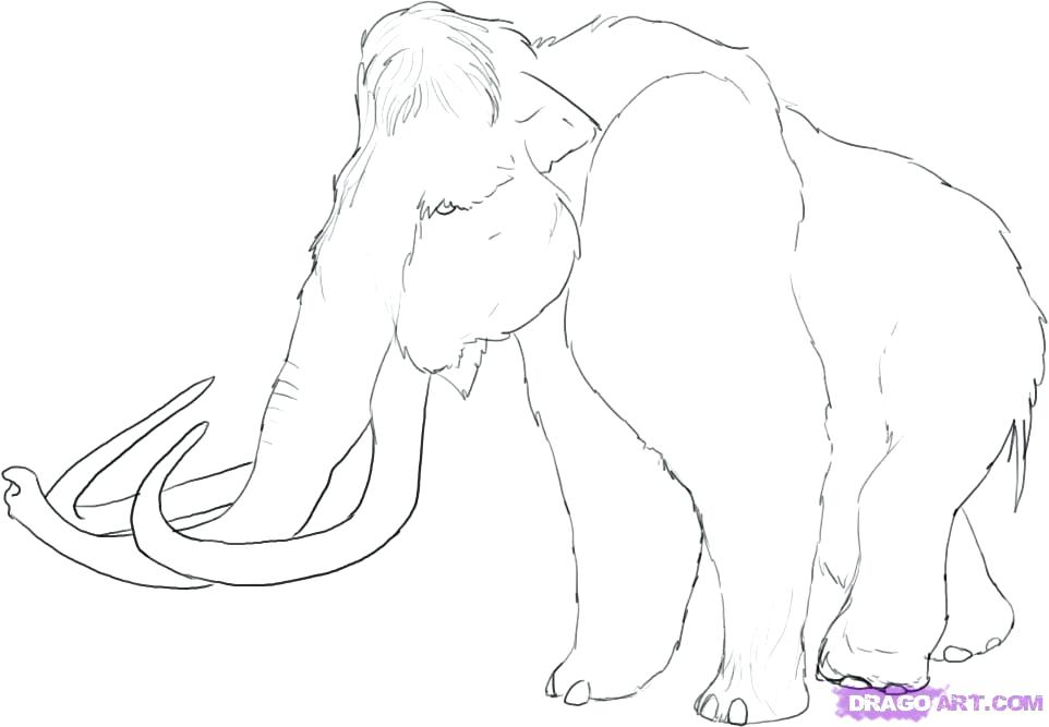 962x667 Wooly Mammoth Coloring Page Mammoth Coloring Page Woolly Mammoth