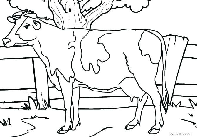 671x466 Cow Coloring Pages To Print Cow Coloring Page Cow Coloring Page
