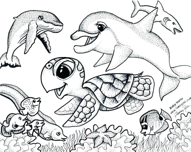 640x509 Sea Lion Coloring Page Sea World Coloring Pages Sea World Coloring