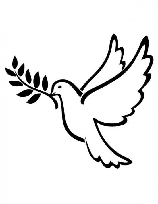 Dove Of Peace Coloring Pages Ink Peace, Tattoo 550x711 Dove Of Peace Coloring Pages Ink Peace, Tattoo