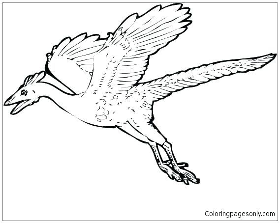 569x454 World War 2 Planes Coloring Pages
