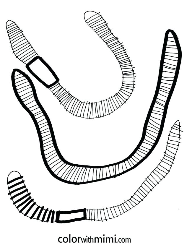 650x846 In The Spring Summer We Book A Lot Of Worm Farm Programs If You