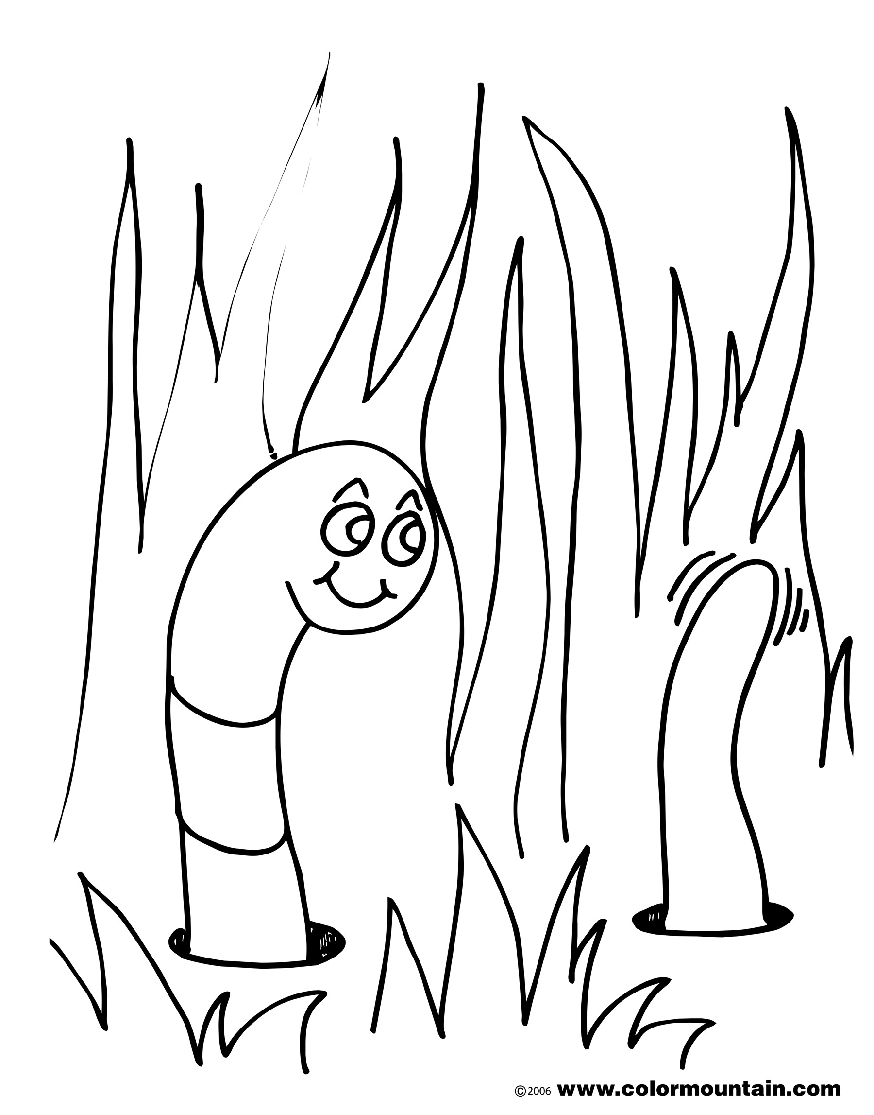 1800x2294 Worm Coloring Pages Free
