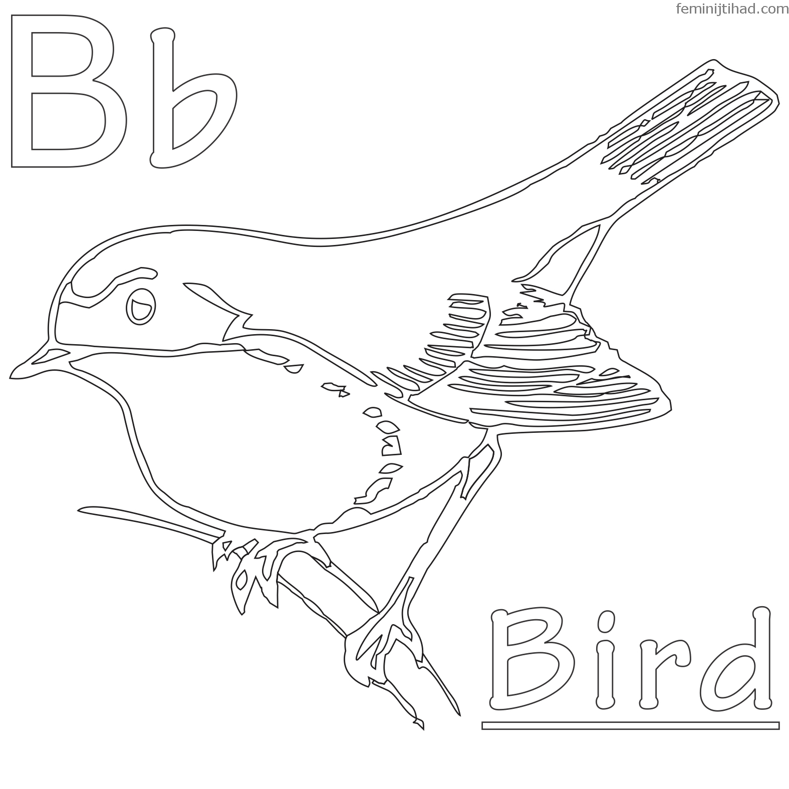 Wren Coloring Page