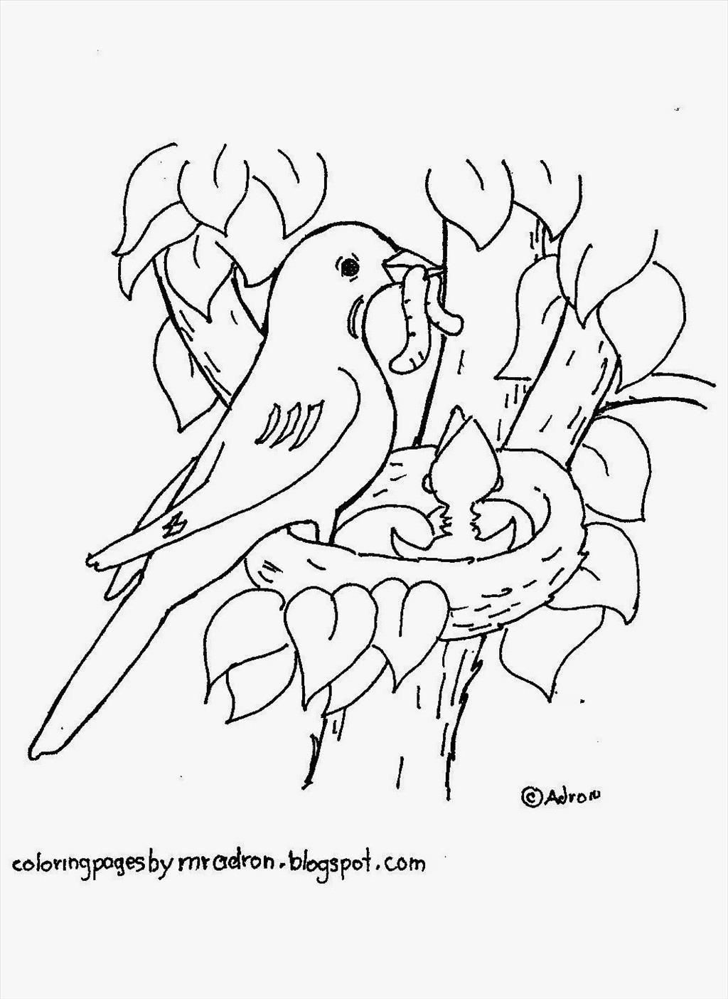 1024x1404 Download Bird Nest Coloring Page Wren Build A Gif 1862 2382 Adult