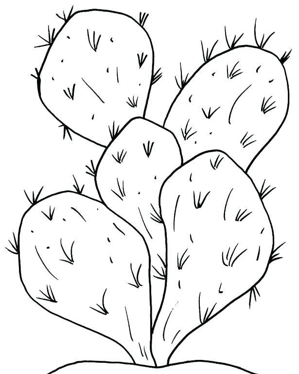 615x769 Planting Cactus Coloring Pages Best Place To Color Planting Cactus