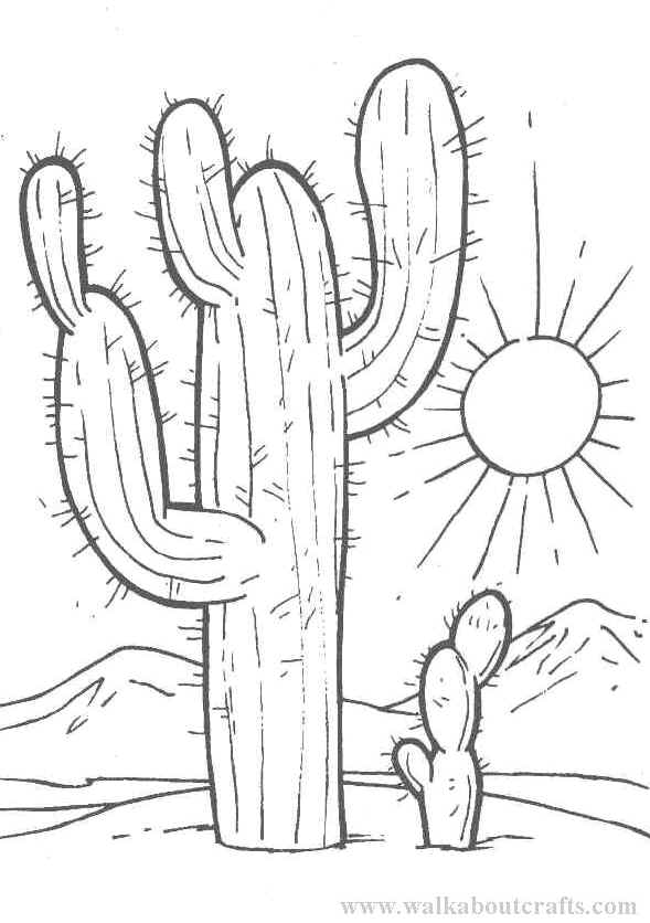 589x836 Cactus Coloring Page