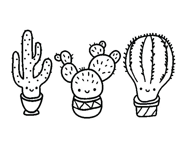 600x470 Cactus Coloring Page Cactus Wren Coloring Page