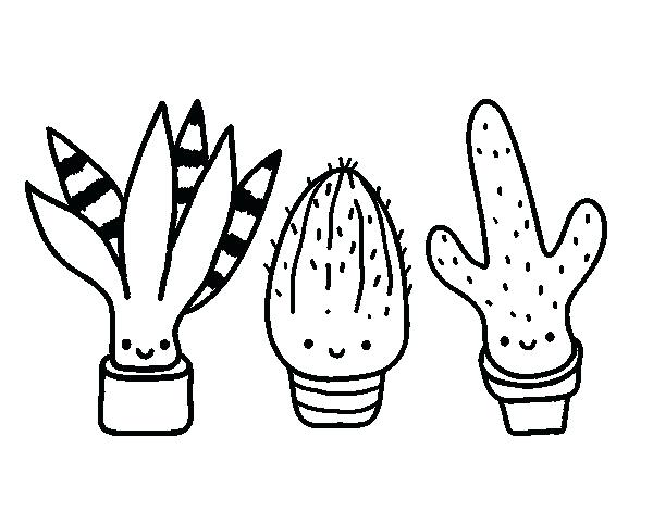 600x470 Cactus Coloring Page Color Book Cactus Coloring Page Cactus Wren