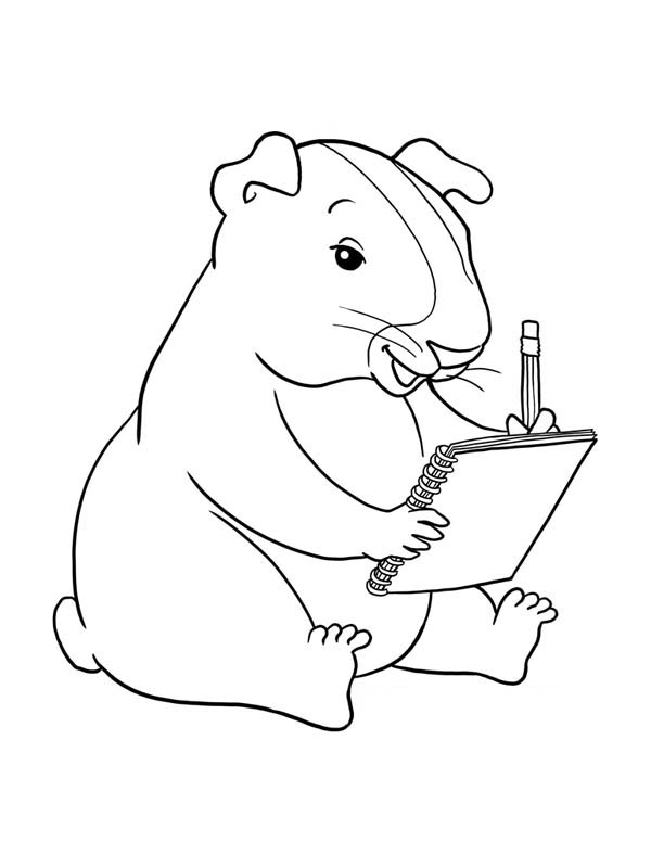 Guinea Pig Writing Coloring Page Color Luna 600x776 Guinea Pig Writing Coloring Page Color Luna