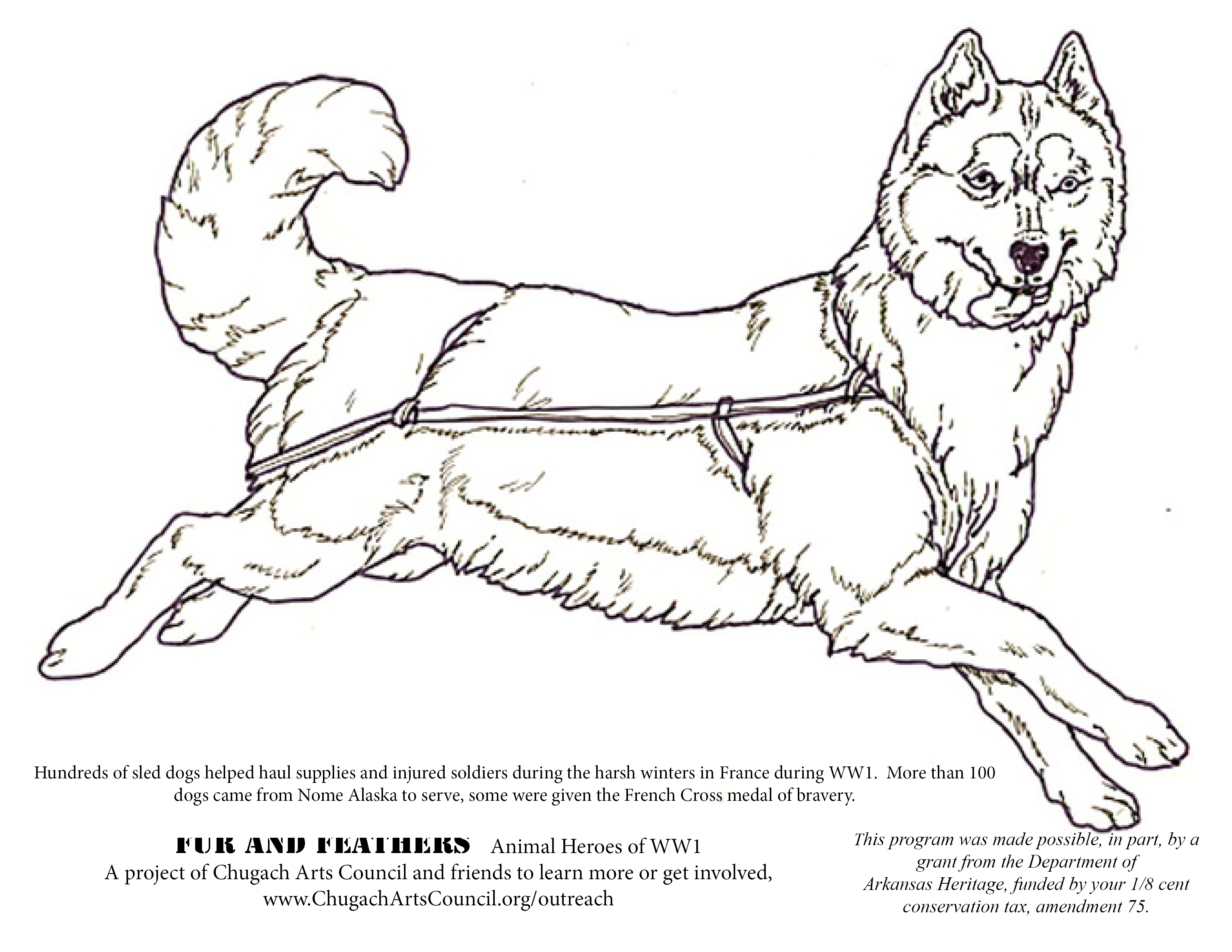 3300x2550 Coloring Pages, Fur And Feathers Chugach Arts Council