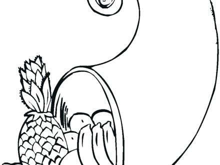 440x330 Thanksgiving Cornucopia Coloring Pages Luxury Cornucopia Coloring
