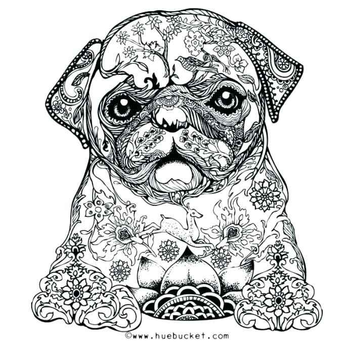 Coloring Pages For Adults Coloring Pages Adult Coloring Pages 700x700 Coloring Pages For Adults Coloring Pages Adult Coloring Pages