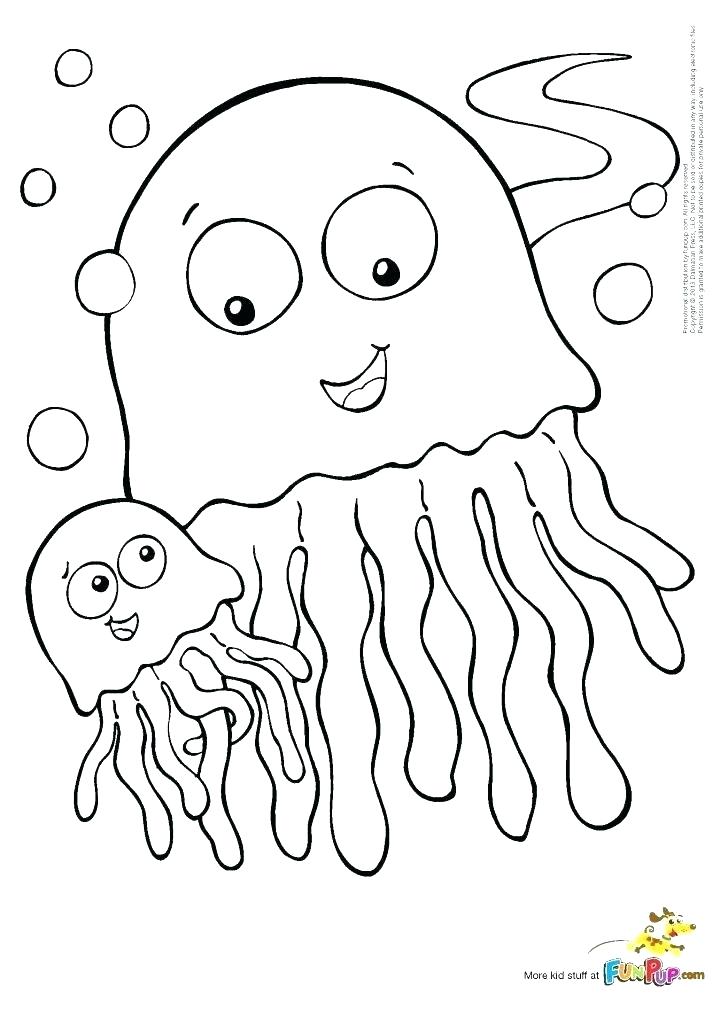 728x1010 Jellyfish Coloring Pages Jelly Fish Coloring Pages Fish Color
