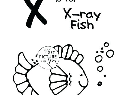 440x330 Rey Mysterio Mask Coloring Pages Coloring Pages Coloring Mask