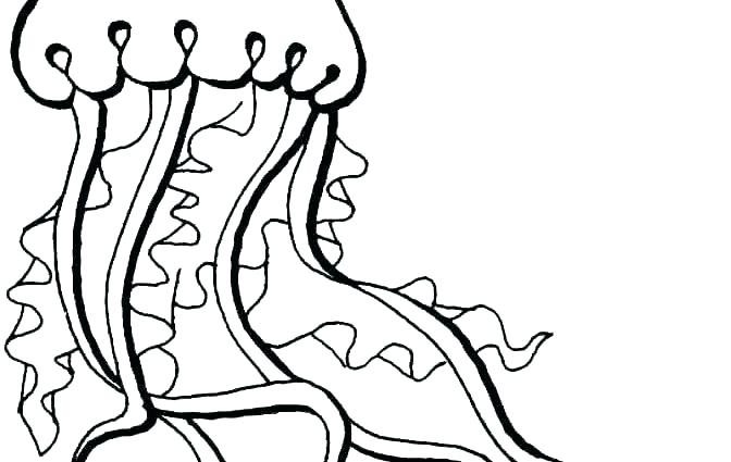 672x425 Stingray Coloring Page Fish Color Pages X Ray Fish Coloring Page