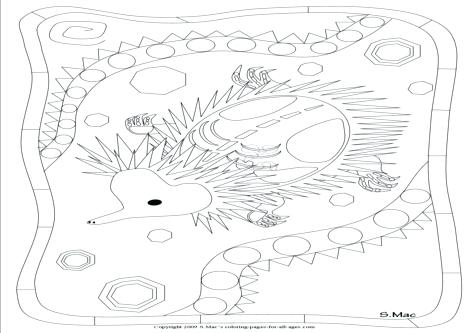 476x333 X Ray Coloring Page X Ray Fish Coloring Page Letter X Alphabet