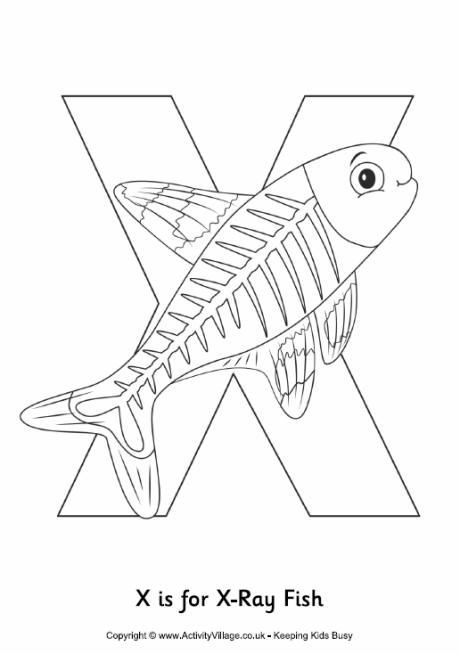 460x654 X Is For Xray Fish Colouring Page K 4 Activities