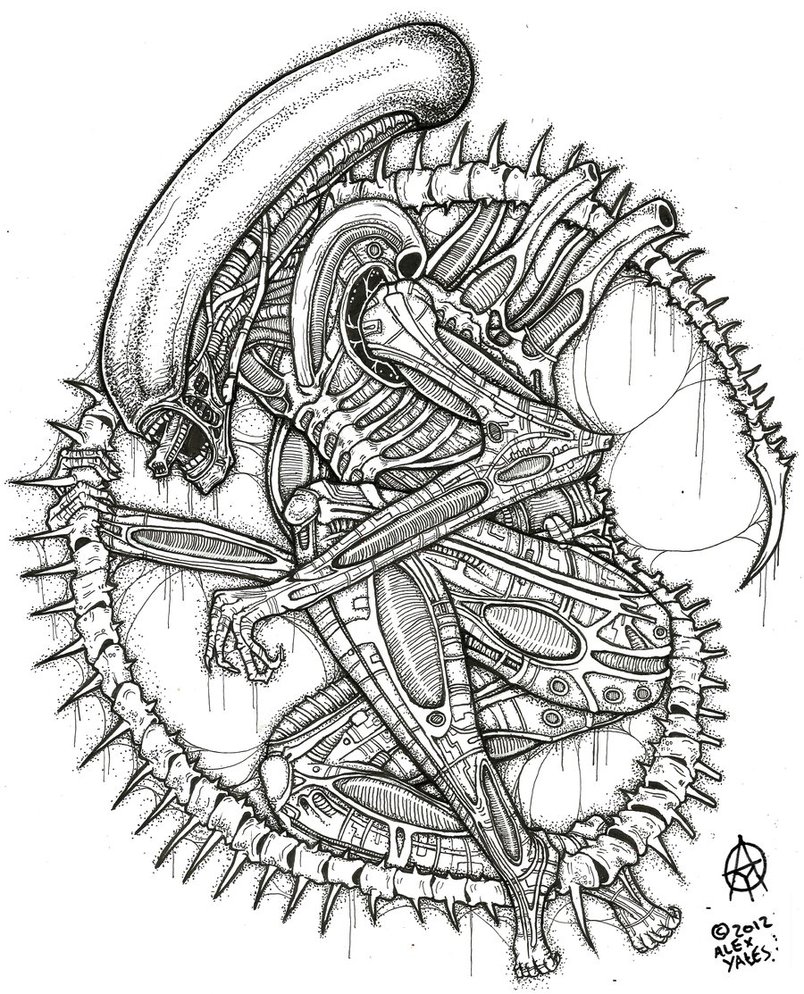 804x994 The Xenomorph By Ayillustrations Alien. Xenomorph. Giger